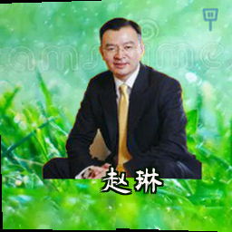 赵琳